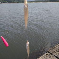 キス狙いでまさかのグレ